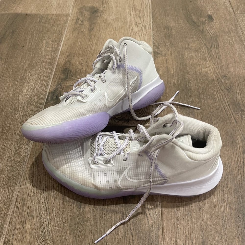 Lebron Flytrap shoes